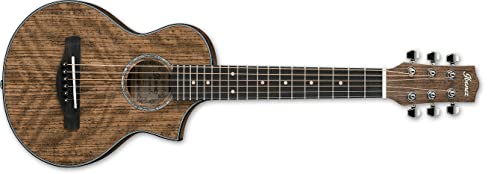 Ibanez EWP Series EWP14WB Electro-acoustic guitar -Open Pore Natural